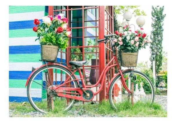 cykel_poster