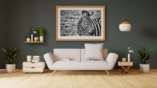 Zebra_i_solen_poster