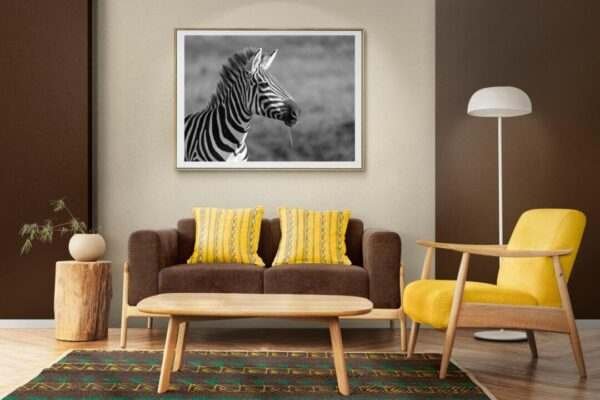 Zebra_ i_ national_ Park_Poster