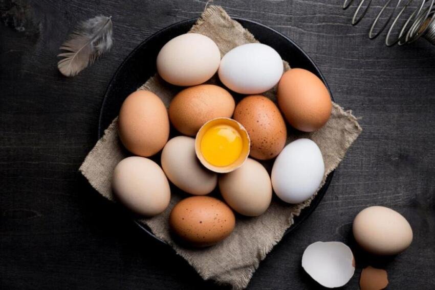 Ägg Poster
