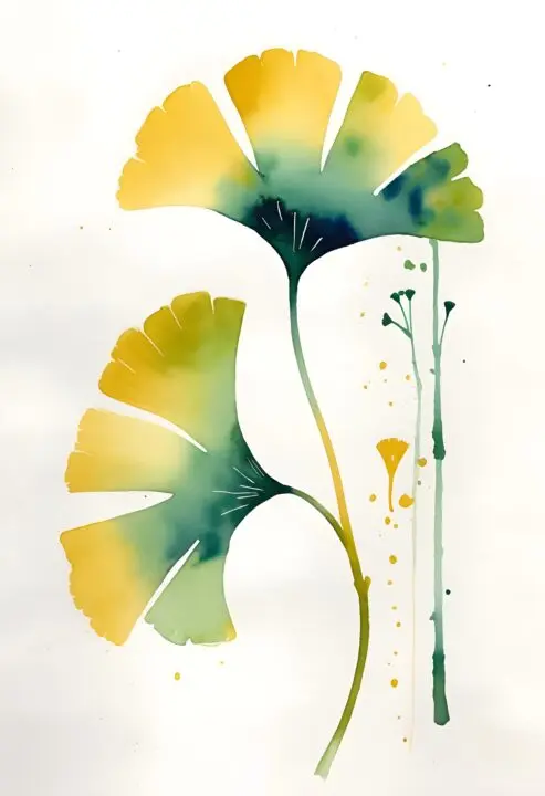 Ginko-grace-Affisch