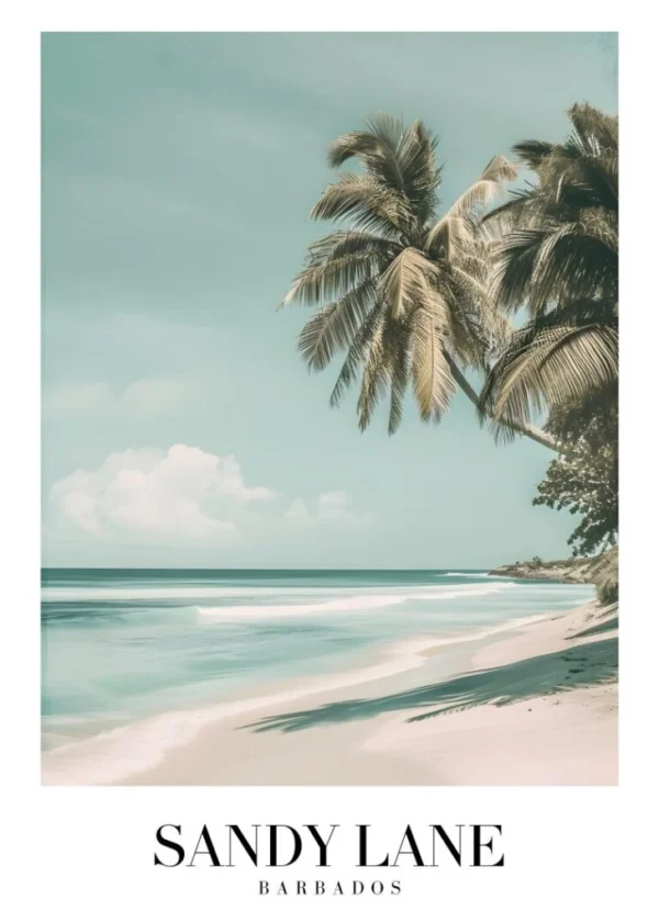 SANDY LANE BARBADOS Affisch/Poster/Print/Tavla