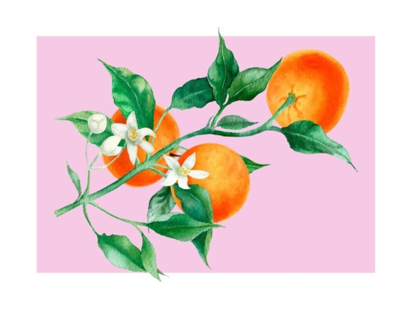 Kök Affisch – Snygga & Inspirerande Posters för Din Köksvägg