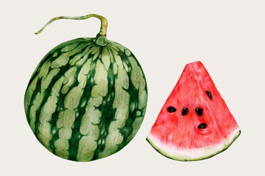 Affischer till Kök – Modern Väggdekoration med Smakfull Design