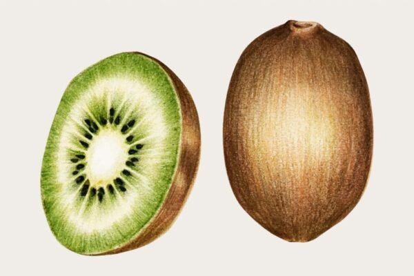 Affischer till Kök – Modern Väggdekoration med Smakfull Design