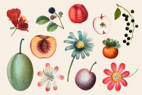 Köksposters – Unika Affischer med Smakfull Design till Ditt Kök