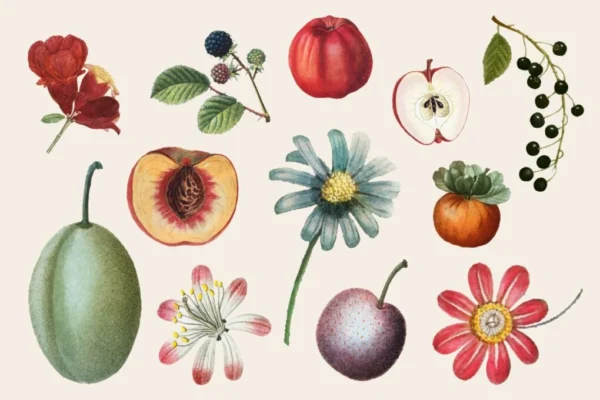 Köksposters – Unika Affischer med Smakfull Design till Ditt Kök