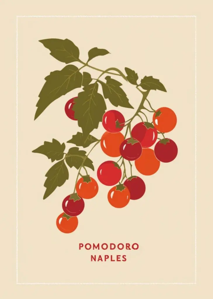 Kök Affisch – Modern Väggkonst & Köksinredning med Stil